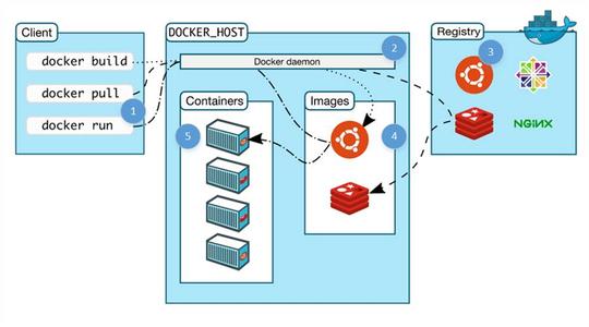 Docker 安装 Nginx 及配置